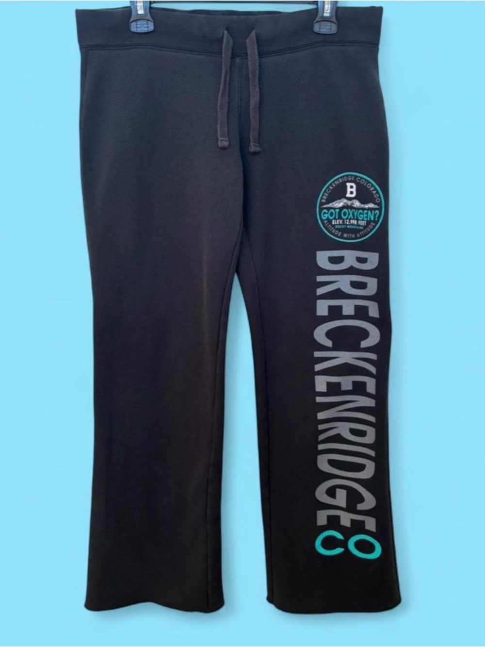 Jansport Black Sweatpants with Teal and Gray Side Logo